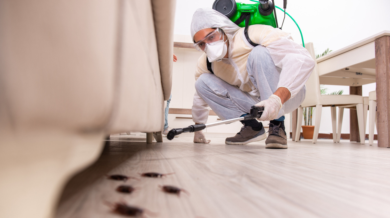 Technician treating a mattress with specialised equipment