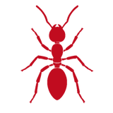 Ant icon