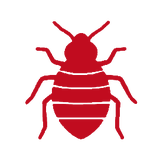 Bed bug icon
