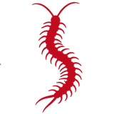 Centipede icon