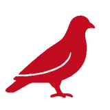 Pigeon icon