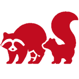 Raccoon and skunk icon