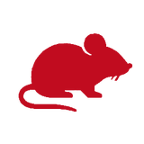 Rodent icon