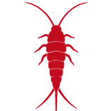 Silverfish icon
