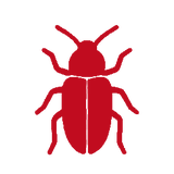 Wood beetle icon